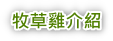牧草雞介紹